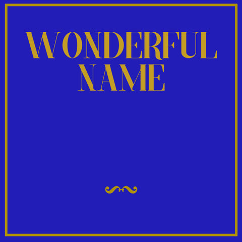Wonderful Name Demo CD